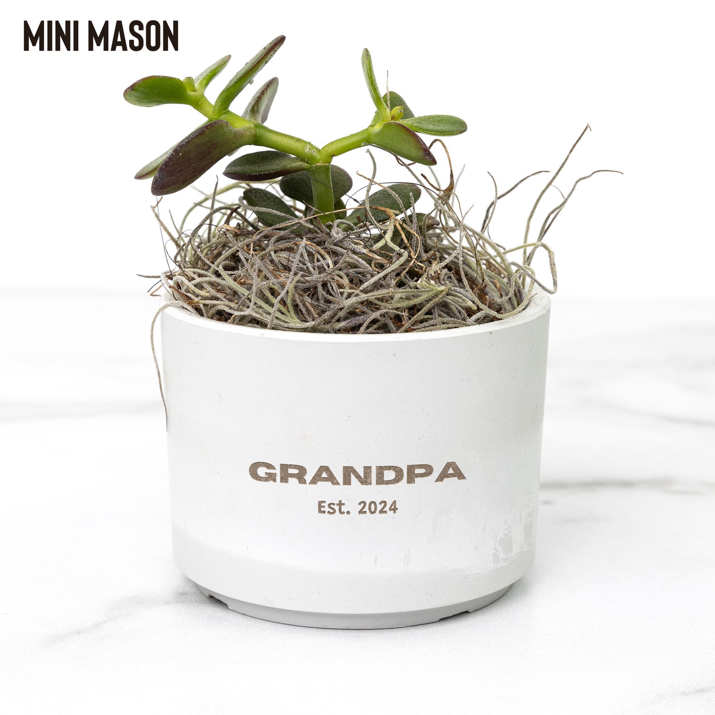 Grandpa Desk Plant Gift for New Grandpa - Personalized with Year