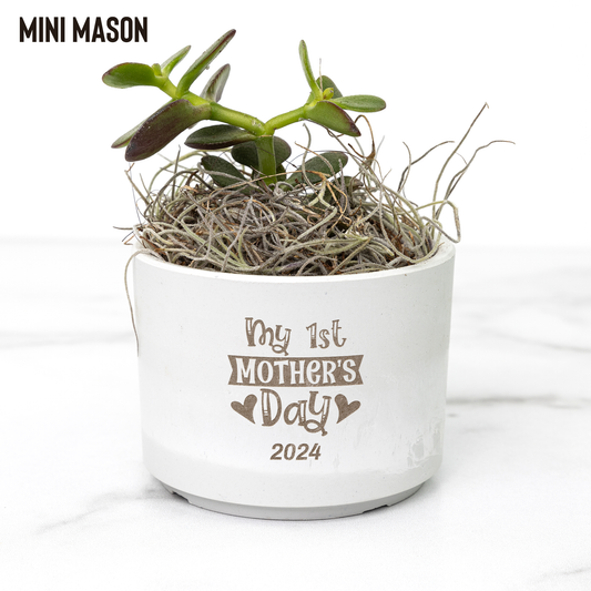 My First Mother's Day Desk Plant Personalized