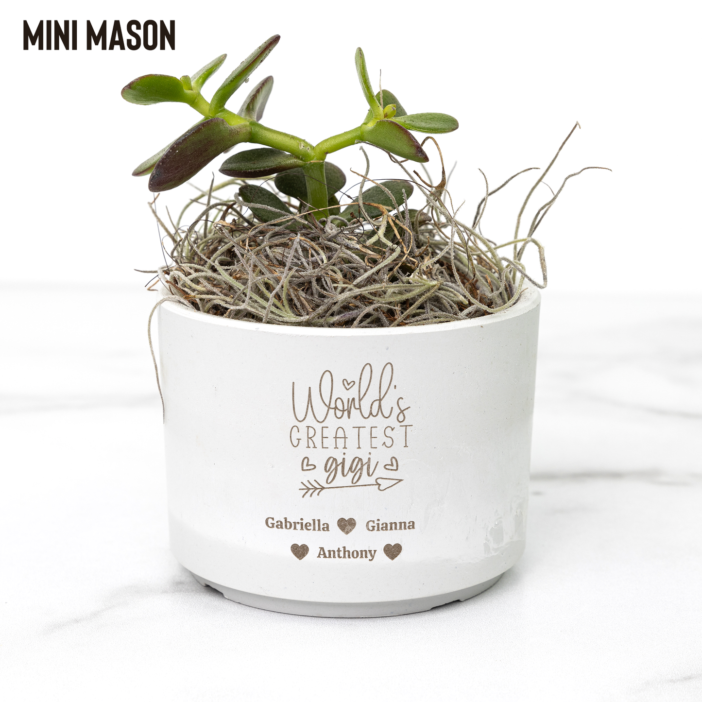 World's Greatest Personalized Desk Plant