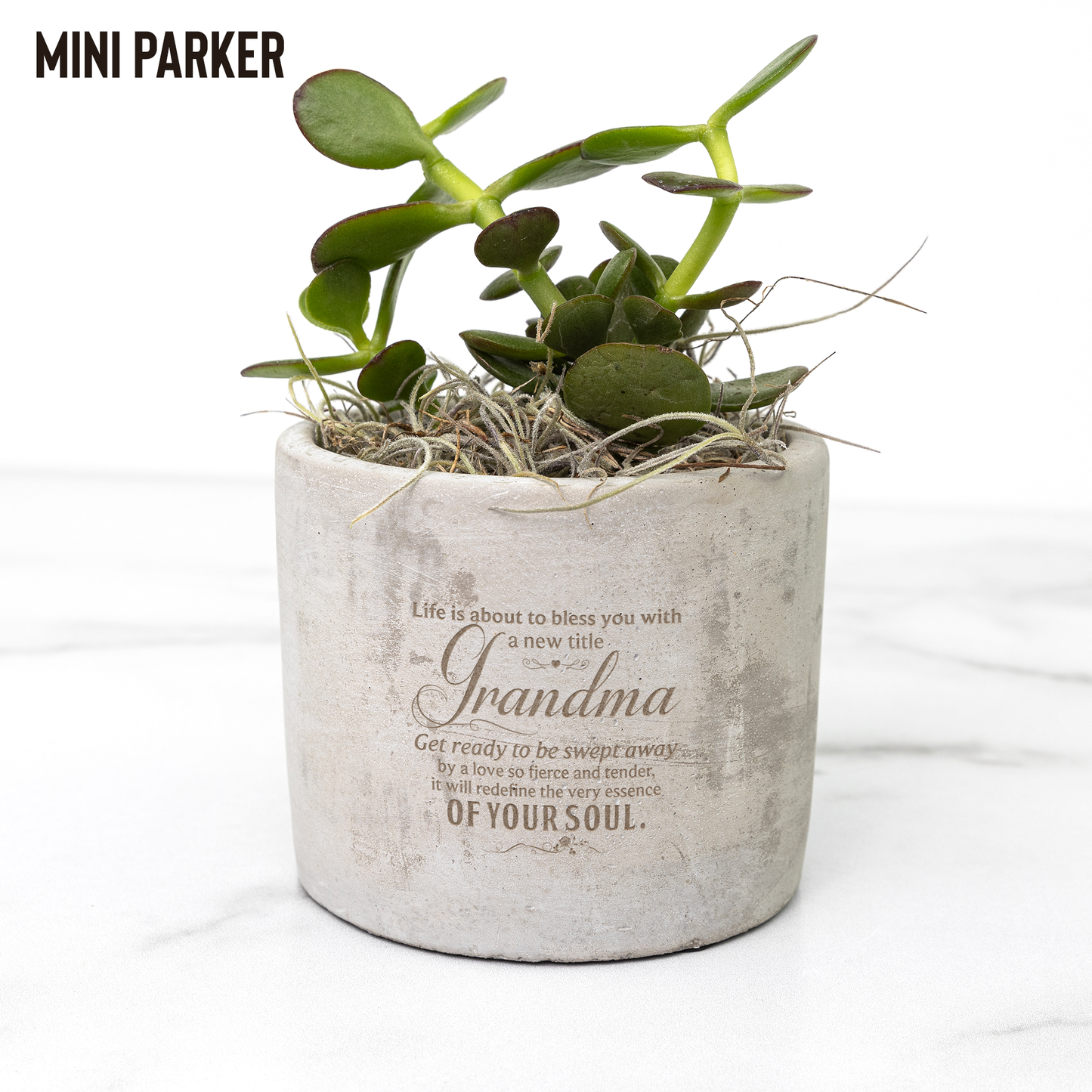 New Grandma Desk Plant Gift for Her Grandma