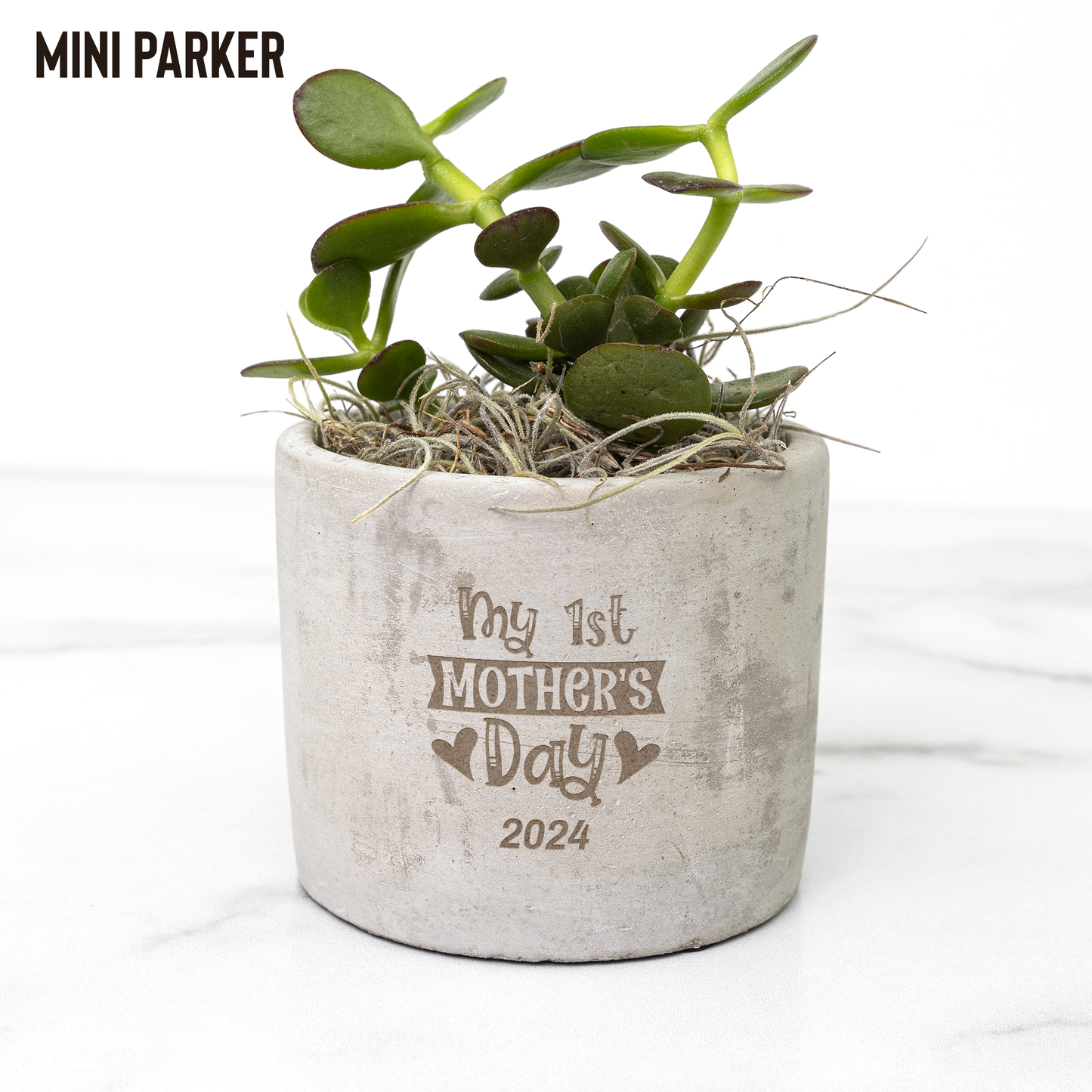 My First Mother's Day Desk Plant Personalized