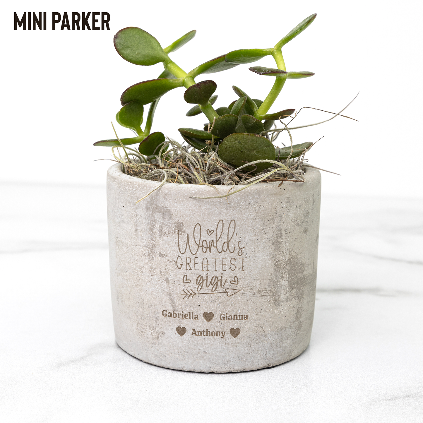 World's Greatest Personalized Desk Plant