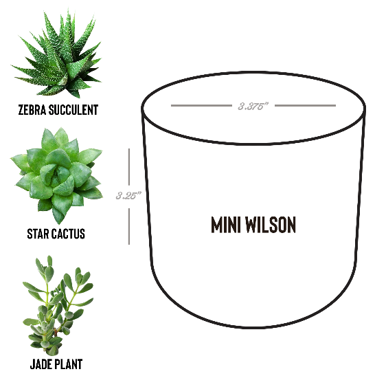 Best Mama Ever Desk Plant Personalized Gift For Mom