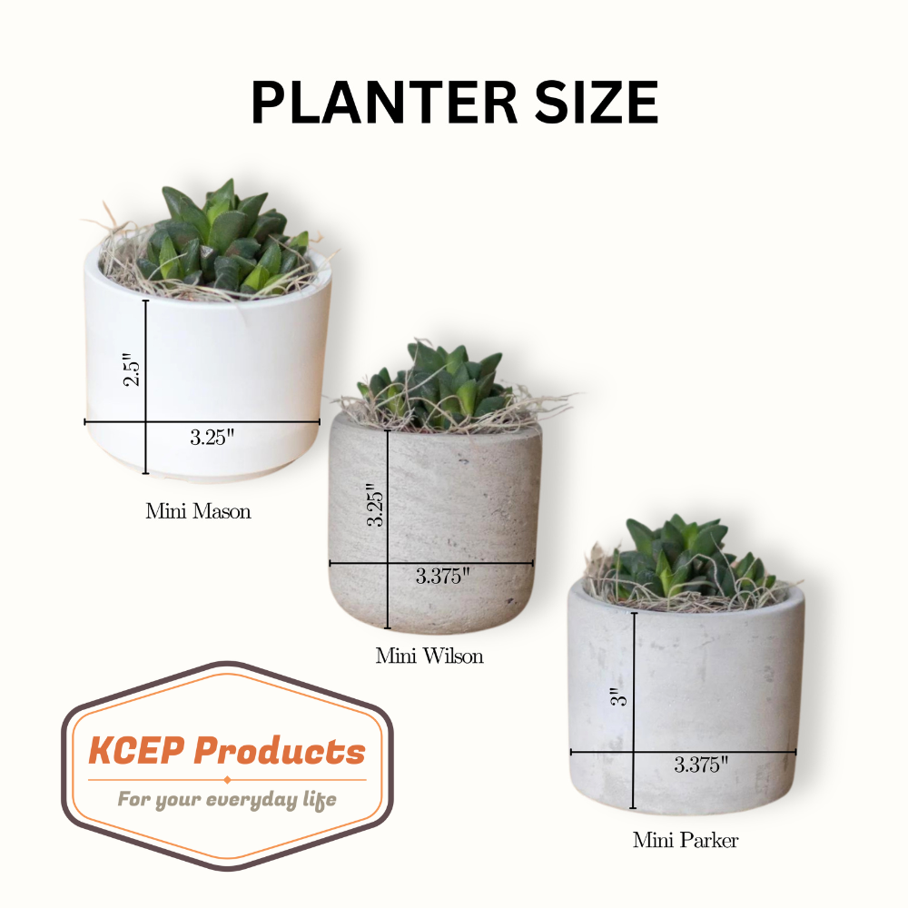 New Grandma Desk Plant Gift for Her Grandma