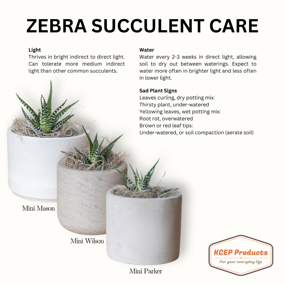 World's Greatest Personalized Desk Plant