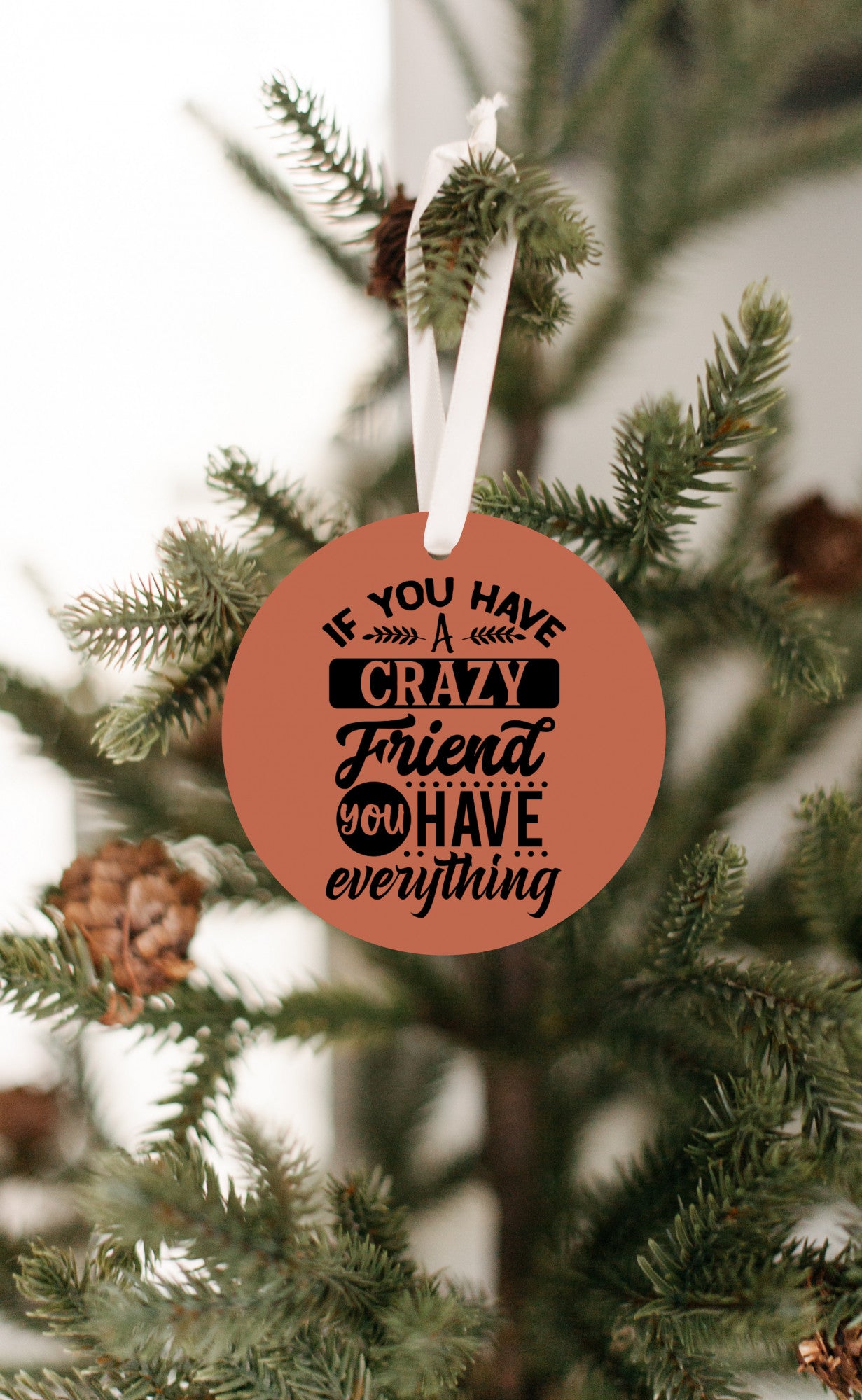 If You Have One Crazy Friend You Have Everything Christmas Ornament