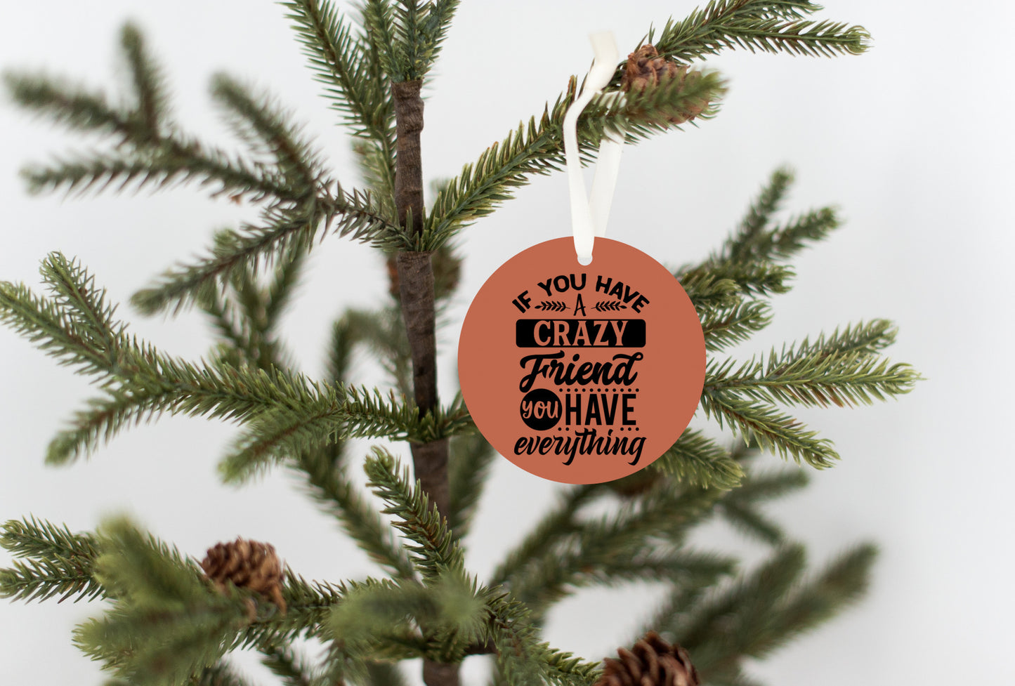 If You Have One Crazy Friend You Have Everything Christmas Ornament
