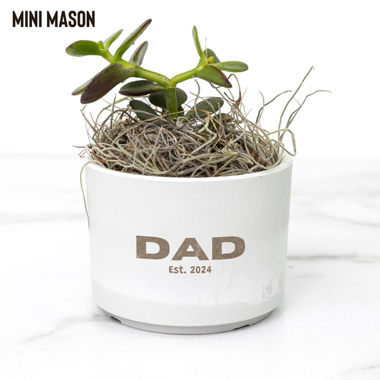 Dad Desk Plant Gift for New Dad - Personalized with Year