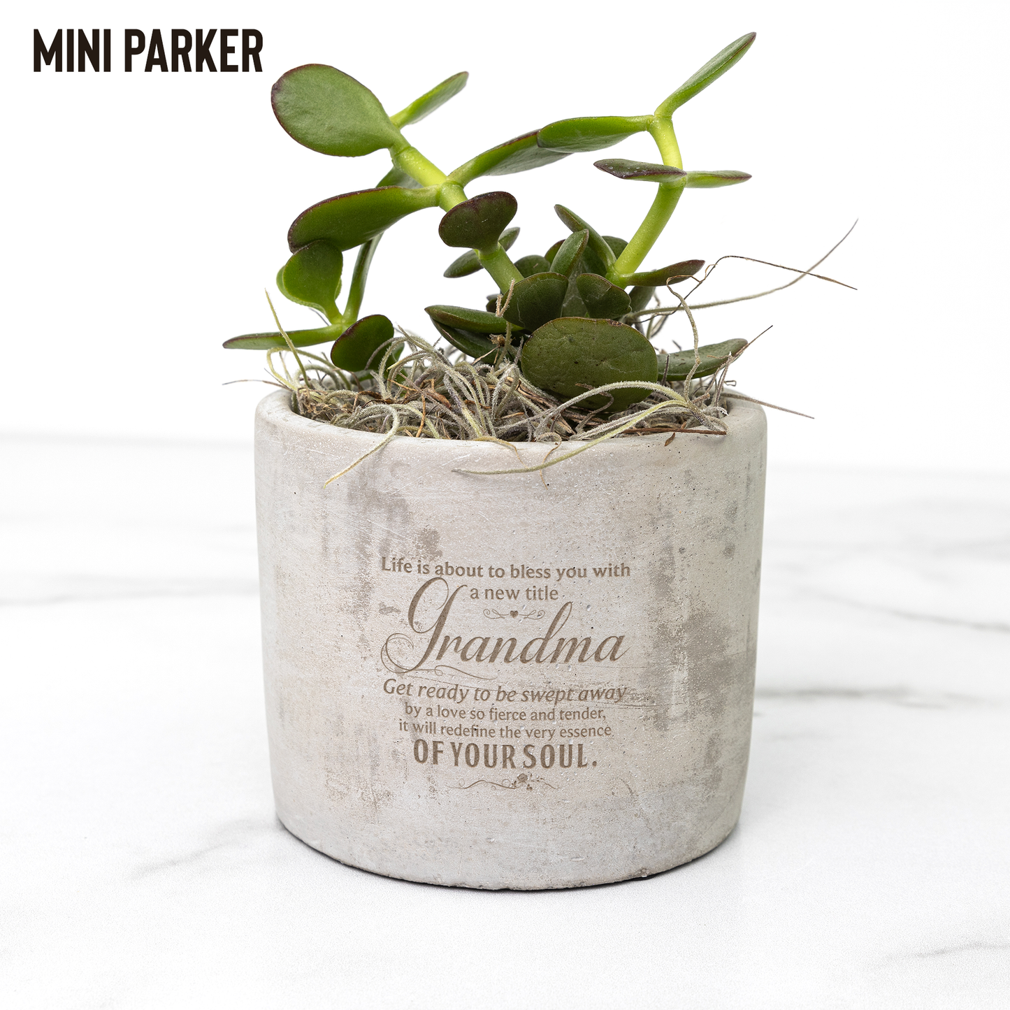New Grandma Desk Plant Gift for Her Grandma Garden Personalized Planter Pot