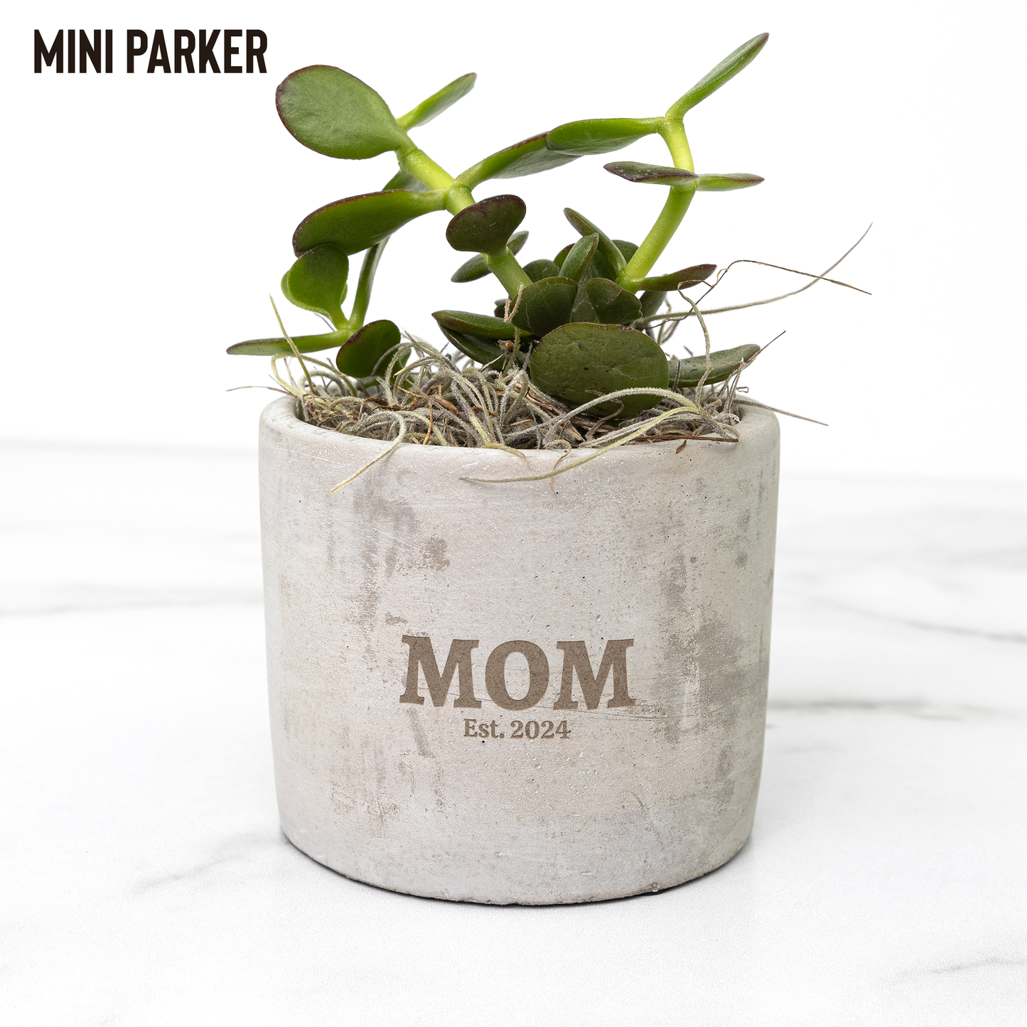 Personalized Desk Plant for New Mom