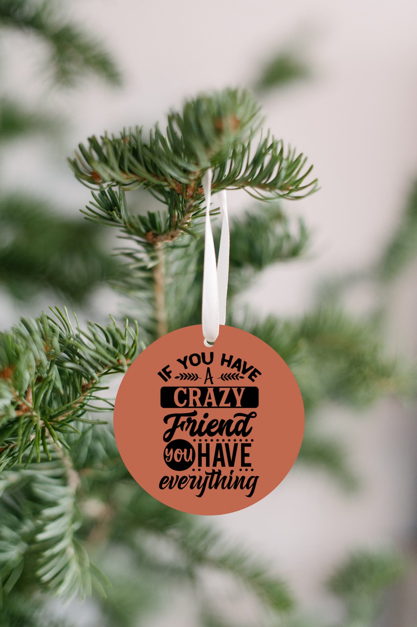 If You Have One Crazy Friend You Have Everything Christmas Ornament