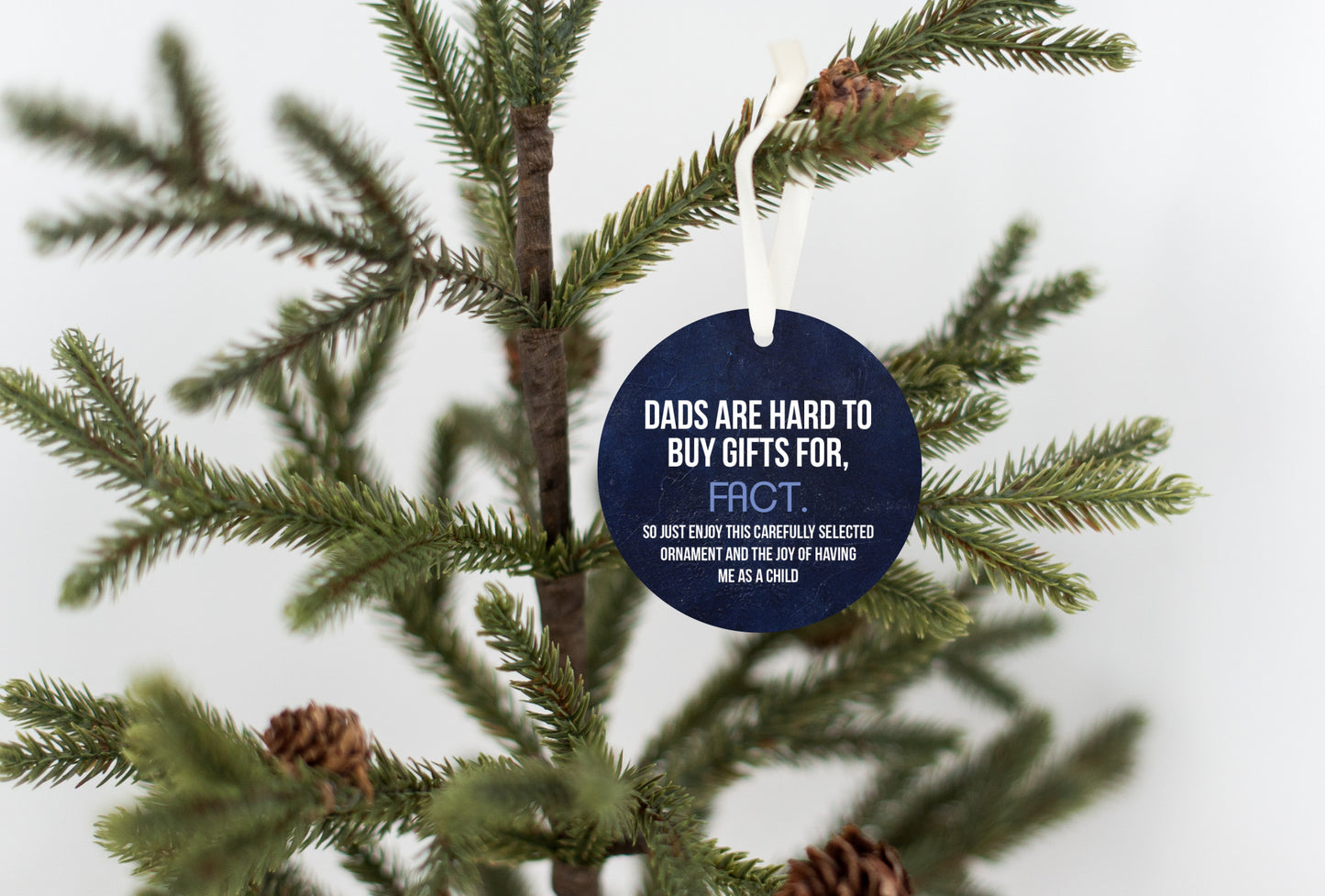 Dads Are Hard To Buy Gifts For - Funny Holiday Ornament Gift